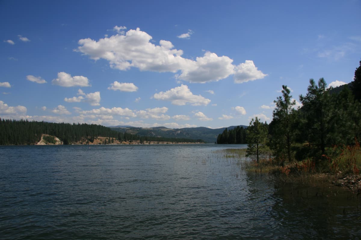 Snag Cove Campground — photo 1