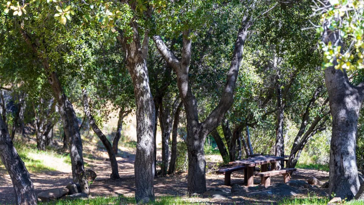 Holiday Group Campground — photo 1