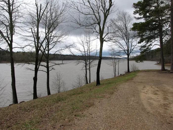 Bear Creek (Ar) — photo 1