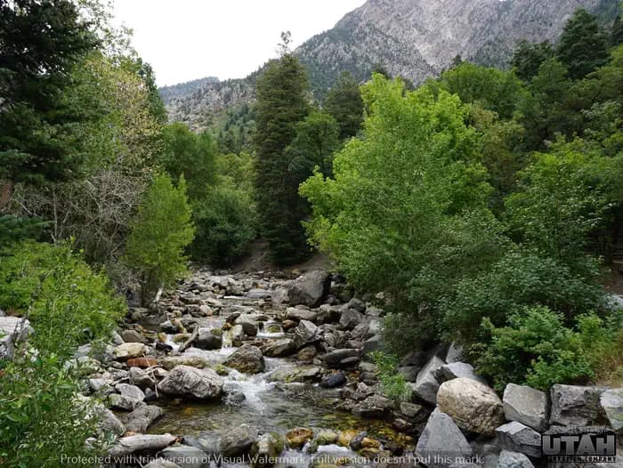 Birches Picnic Area — photo 1