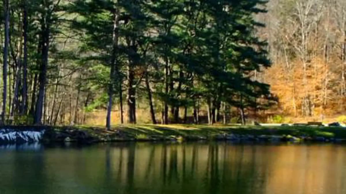 Hooks Brook Boat Access Campground — photo 1