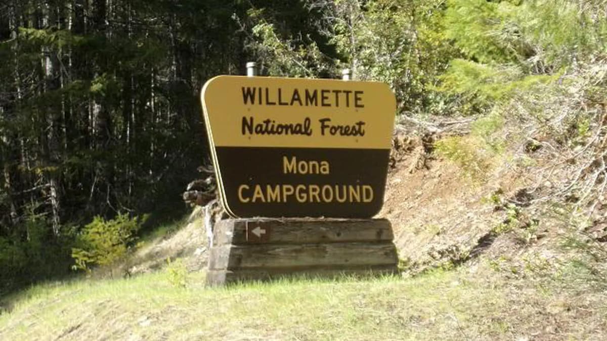 Mona — photo 1