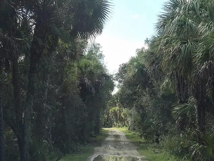 Gator Head Campground — photo 1