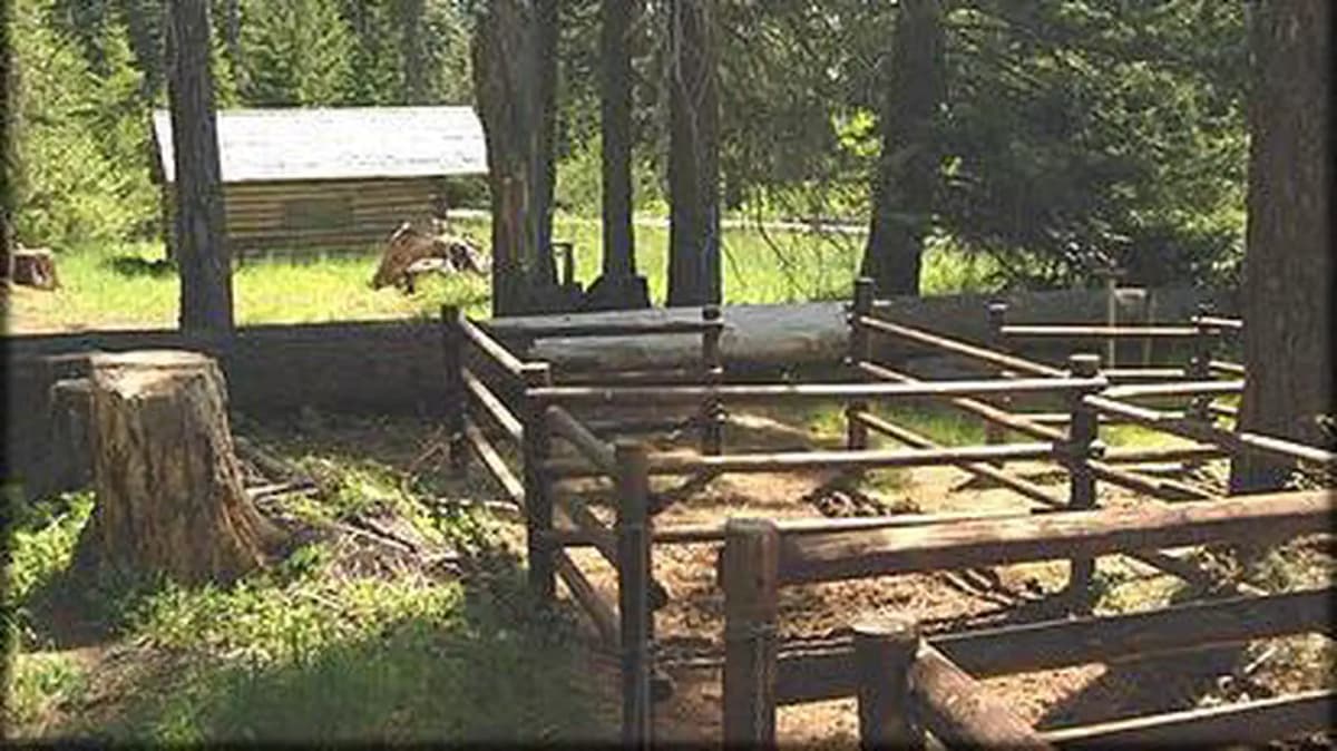 Willow Prairie Cabin — photo 1