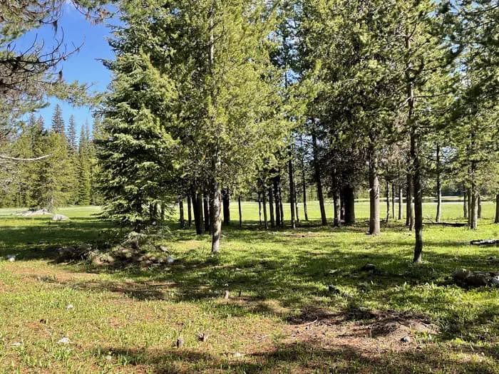 Mud Lake Campground — photo 1