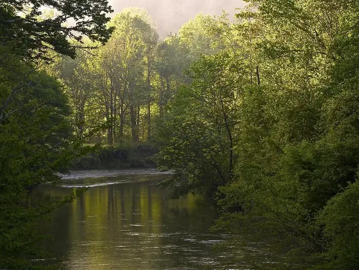 West Fork Campground (Clayton, Ga) — photo 1