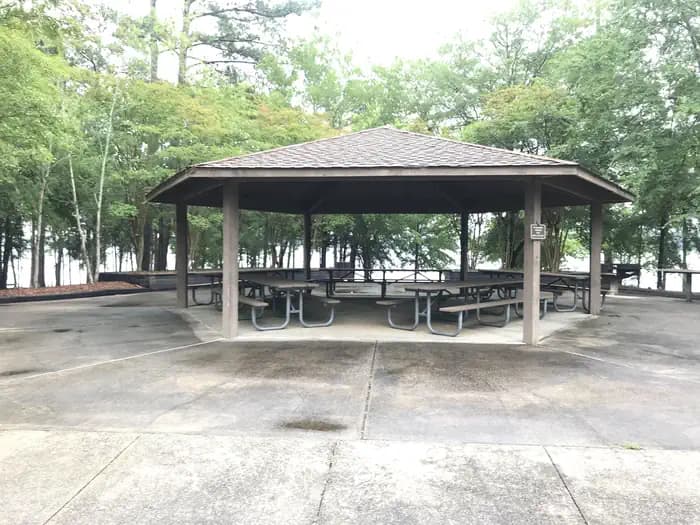 Lake Springs — photo 1