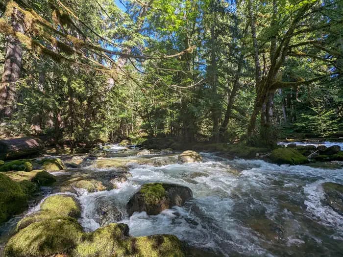 Buck Creek Campground — photo 1