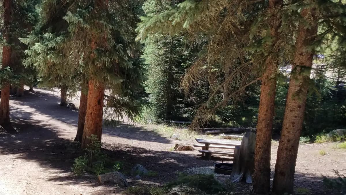Midland Group Campground — photo 1