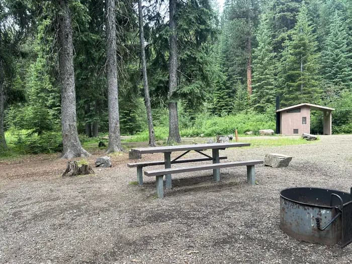 Huckleberry — photo 1
