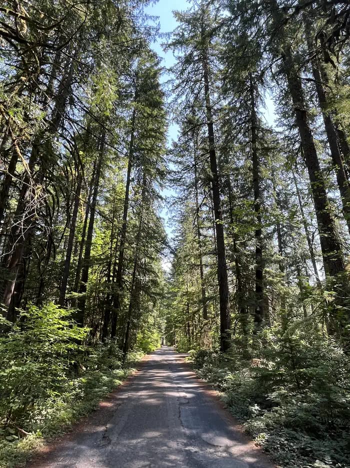 Whispering Falls Campground — photo 1