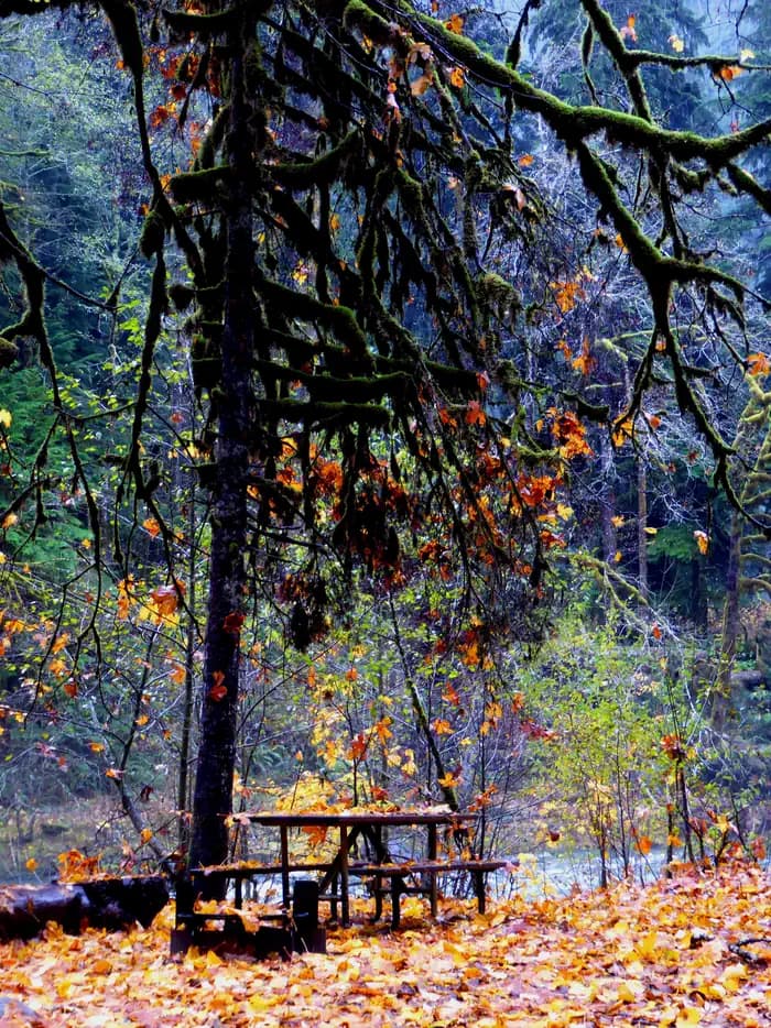 Staircase Campground — photo 1