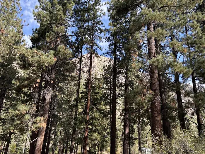 Crystal Springs — photo 1