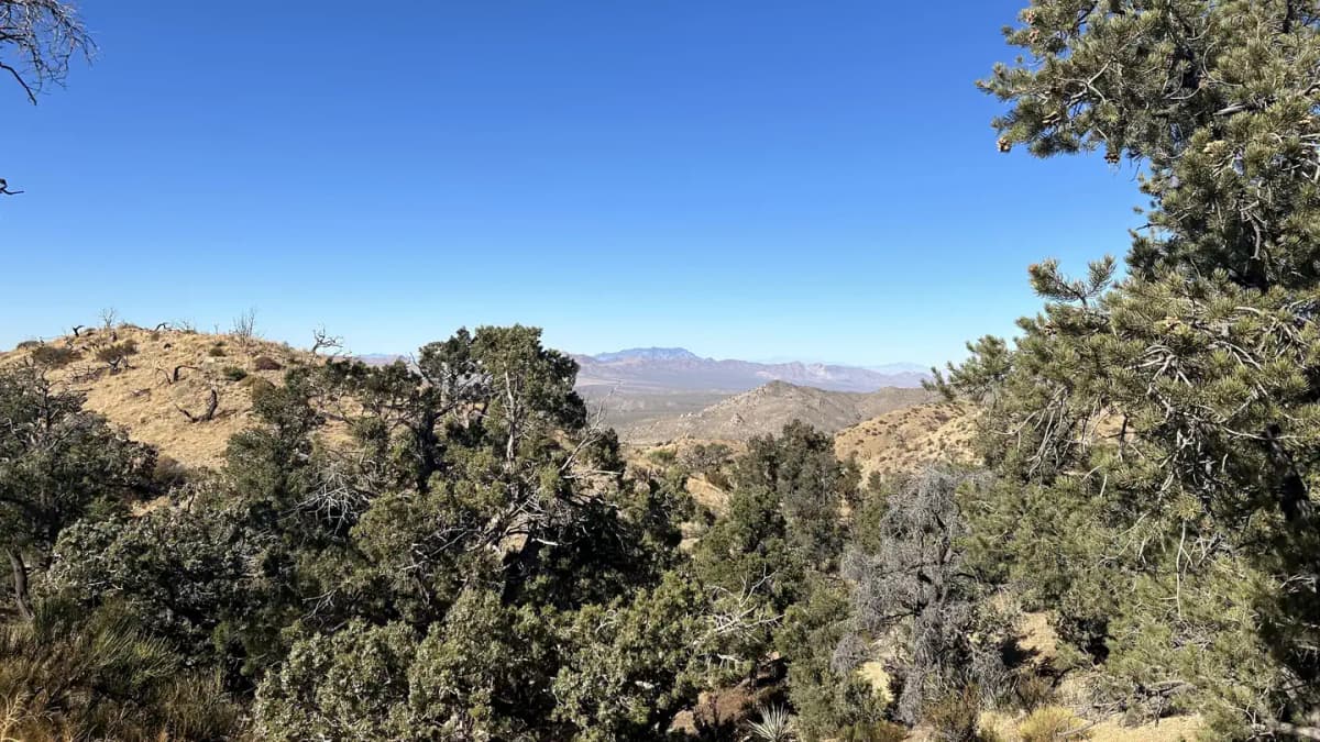 Mid Hills Campground — photo 1