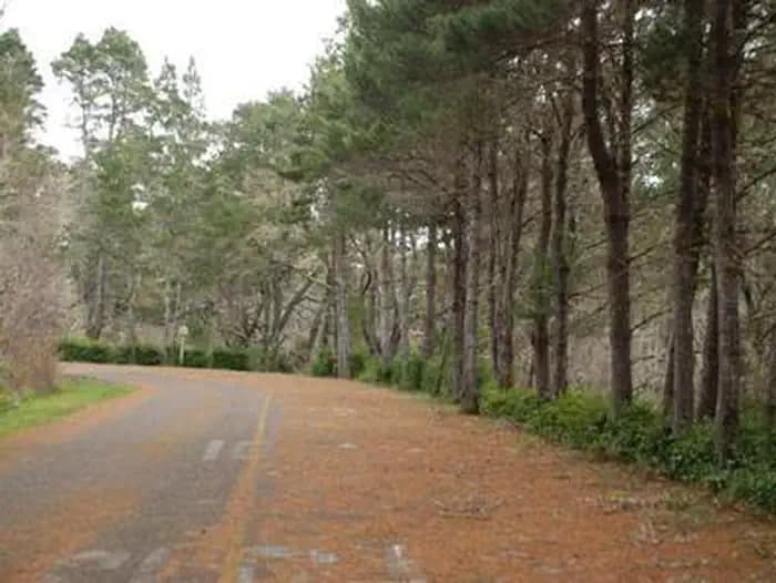 Bluebill Campground — photo 1