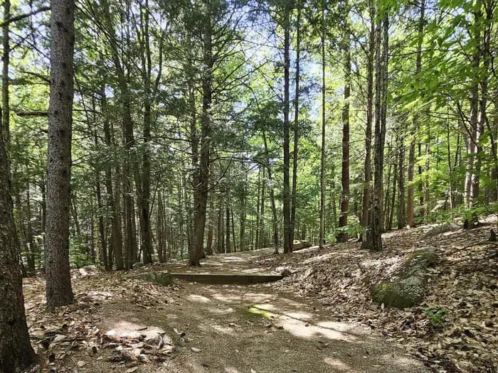 White Ledge Campground — photo 1
