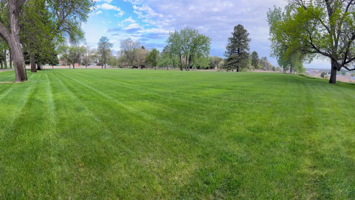 Administration Lawn — photo 1