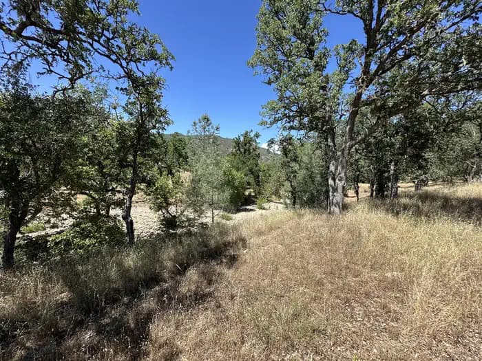 American Canyon Campground — photo 1