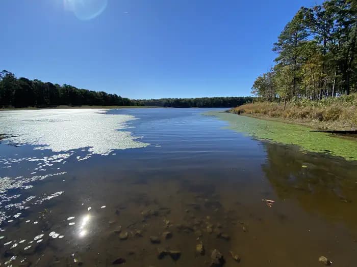 Pinewoods Lake Rec Area — photo 1