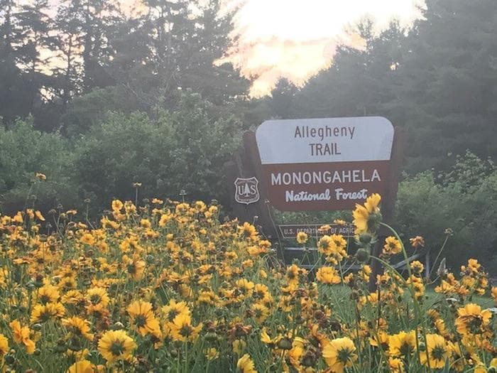 Pocahontas Campground — photo 1