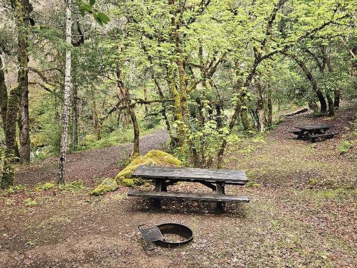 Sixmile Campground — photo 1