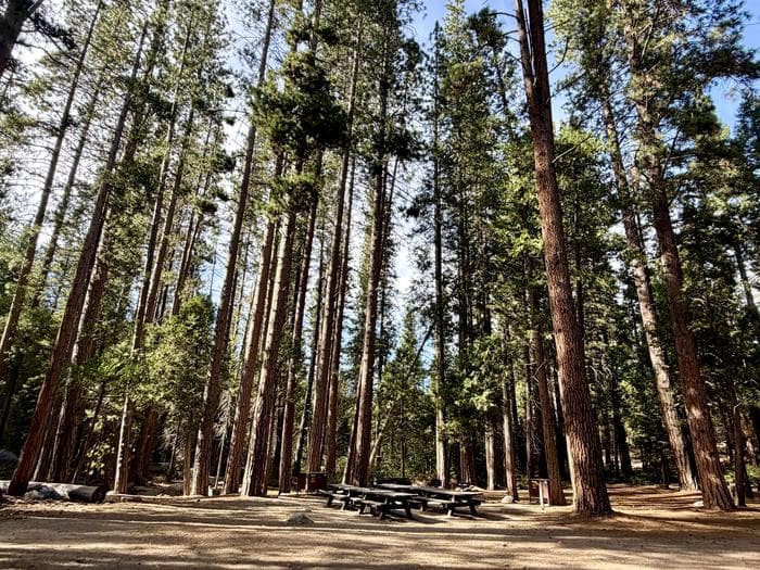 Logger Flat Group — photo 1