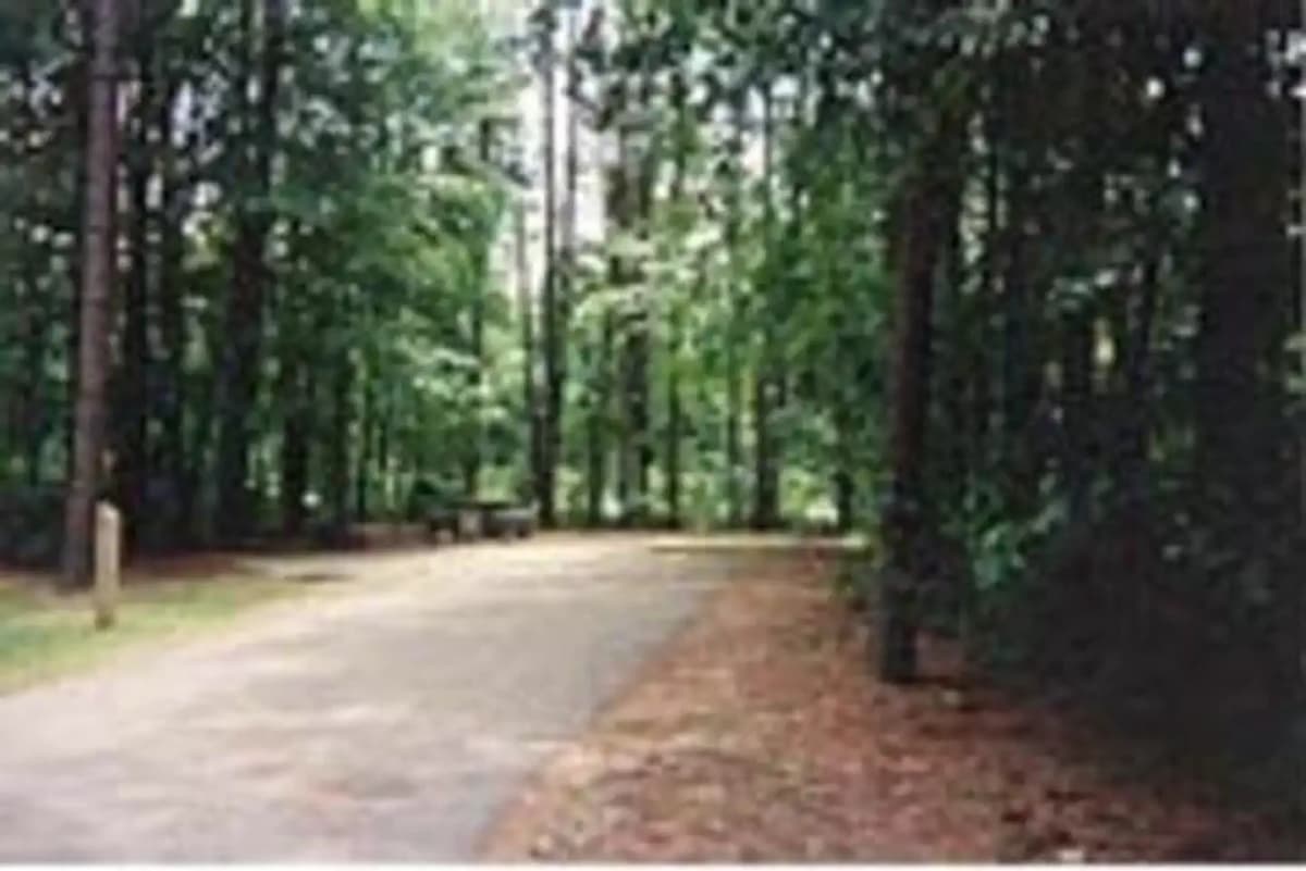 Dam Site River (Beaver Lake) — photo 1