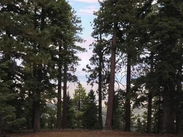 Jackson Flats — photo 1