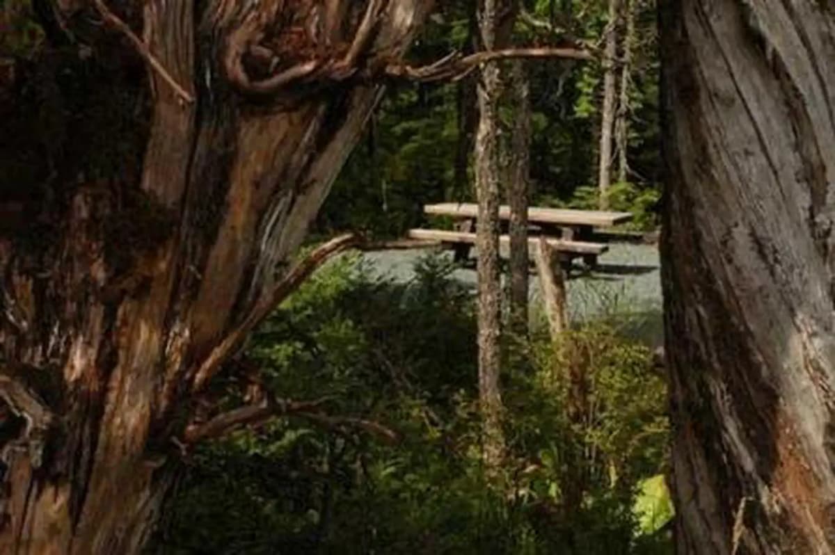 Harris River Campground — photo 1
